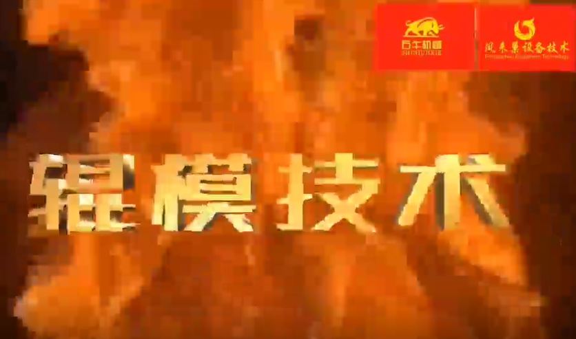 视频展示 Video Display